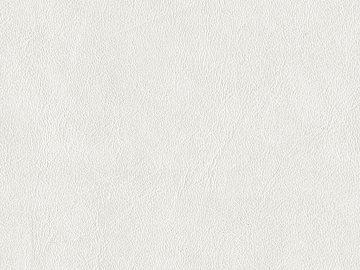 fine grain leather texture (ID:ffaeg01872)