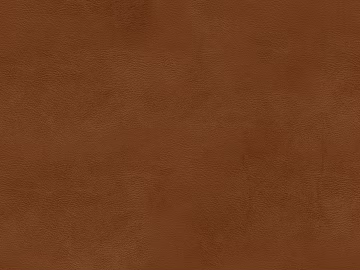 fine grain leather texture (ID:ffagg04706)