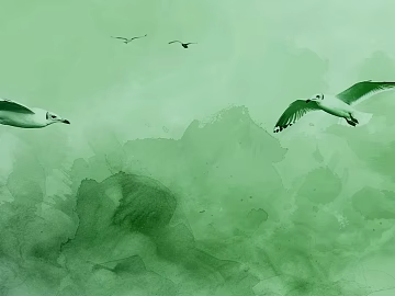European-style watercolor seagull flying illustration texture (ID:ffaeh794421)