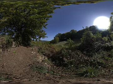 outdoor woods cloudless sunny day hdr texture (ID:ffach913514)