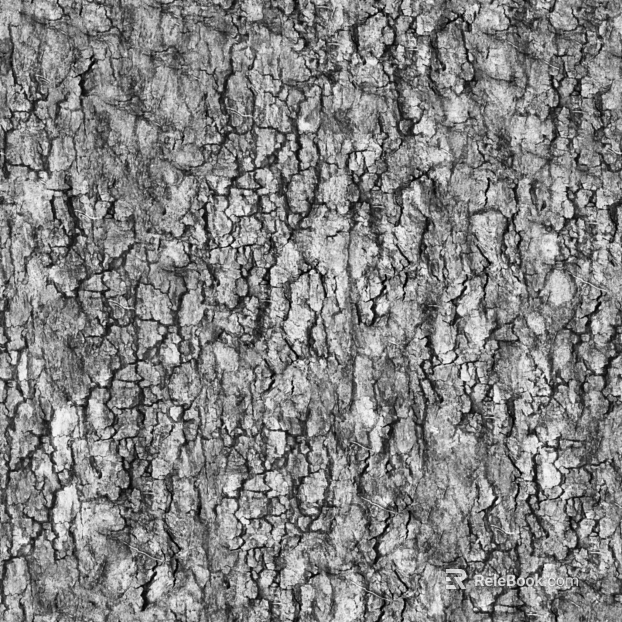 bark texture