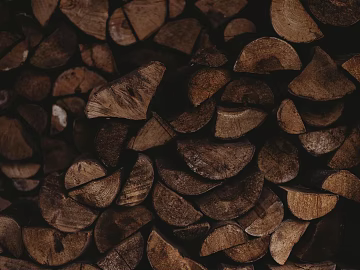 Trunk section texture (ID:ffagg87138)