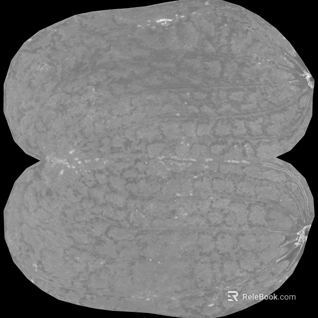Light Grey Rock Bump Map texture