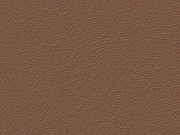 fine grain leather texture (ID:ffaeg60669)