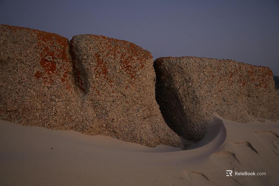 Wild Scenery texture