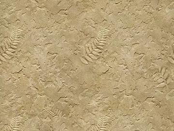 diatom mud texture (ID:ffacg54848)