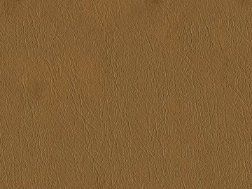 fine grain leather texture (ID:ffacg96197)