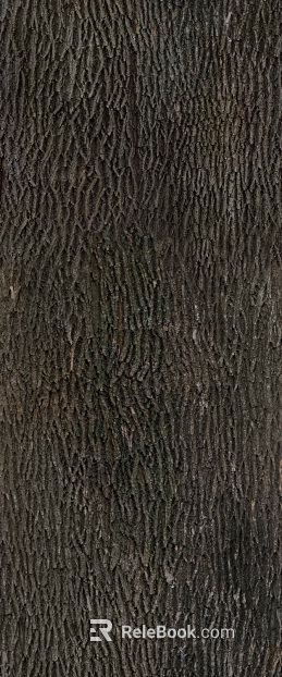 bark texture