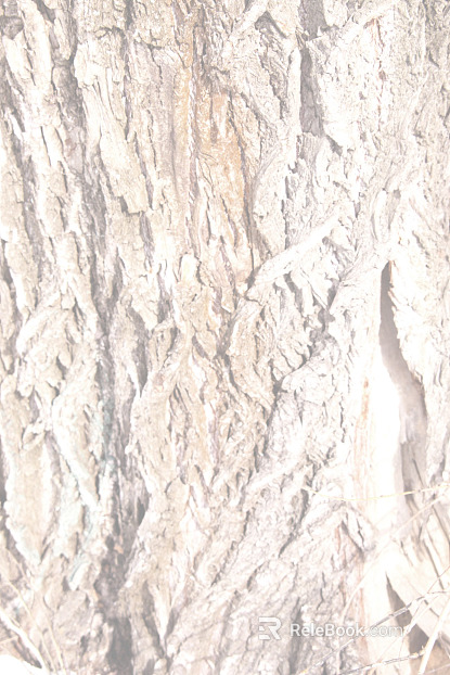 Rock White Lava texture