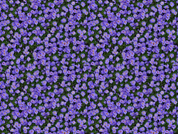 purple flower wall vegetation texture (ID:ffach692456)