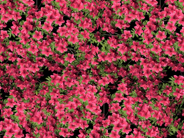 Flowers texture (ID:ffacg18035)