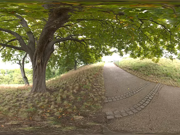 Park Shade Traverway Daytime HDR texture (ID:ffach165511)