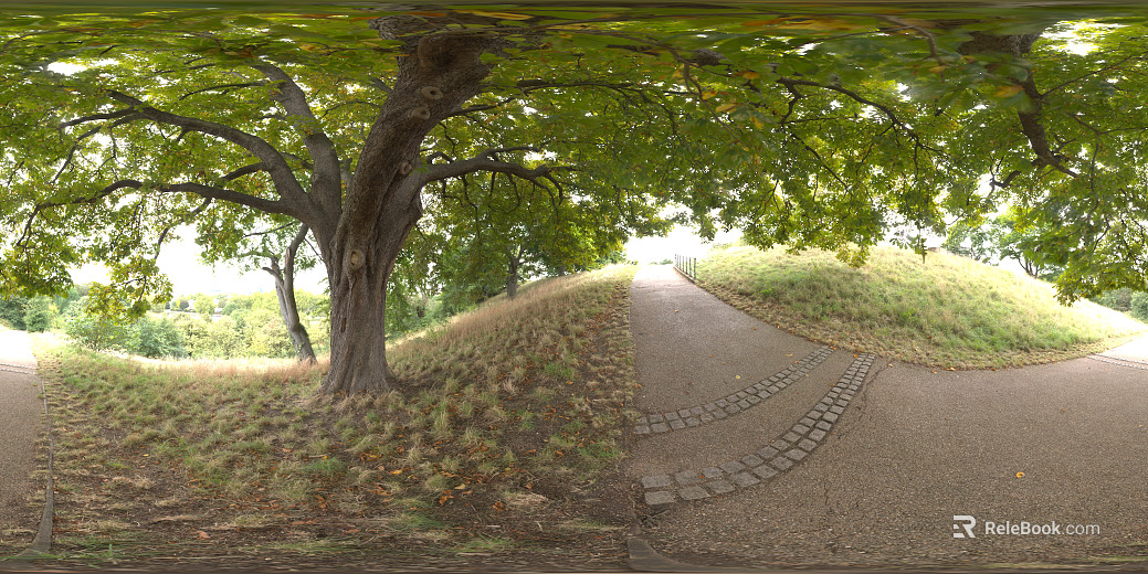 Park Shade Traverway Daytime HDR texture