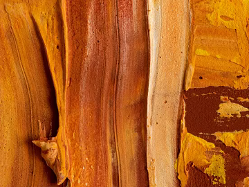 Paint wall texture (ID:ffagg97078)