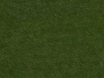 Turf texture (ID:ffabg42711)
