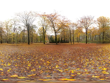 Outdoor Forest Autumn Daytime HDR texture (ID:ffabg68501)