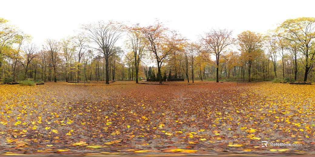 Outdoor Forest Autumn Daytime HDR texture