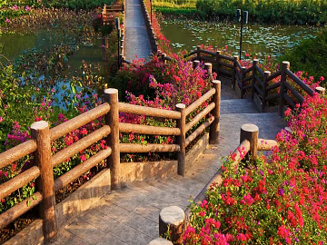 Bridge texture (ID:ffaeg92220)