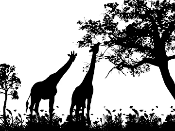 Highlight Mask texture (ID:ffacg80342)