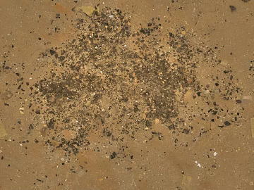 Sand 3d model