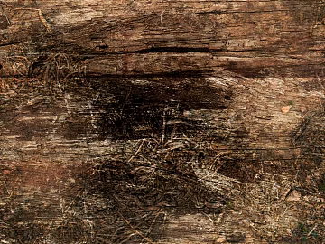 old wood texture (ID:ffagg59231)