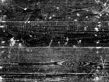 Wood grain black and white bump texture (ID:ffach760954)
