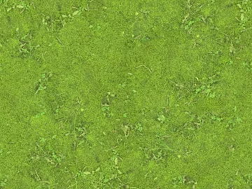 Turf texture (ID:ffacg63683)