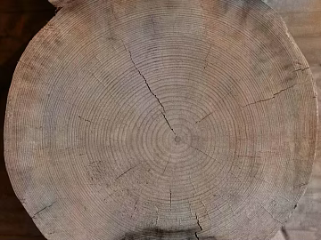Taupe log tree ring decorative background texture (ID:ffaeh313739)