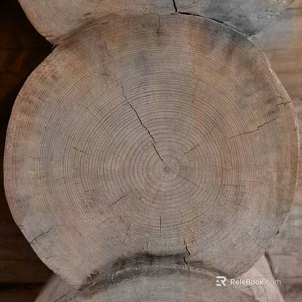 Taupe log tree ring decorative background texture
