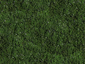 Turf texture (ID:ffacg96828)
