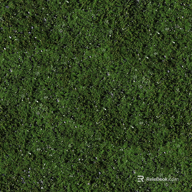 Turf texture