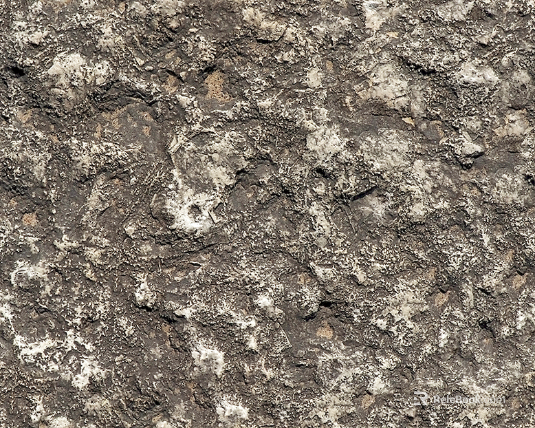 Stone Rock texture
