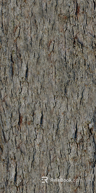 bark texture