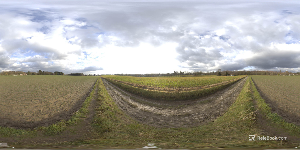 Field texture