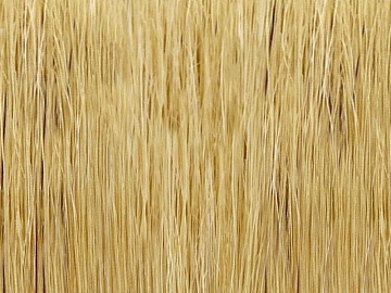 Thatch texture (ID:ffadf7689)