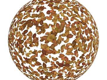 Leaf PBR texture (ID:ffach411781)