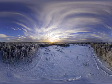 outdoor snow forest dusk hdr texture (ID:ffach763874)