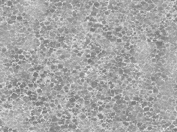 Black and White Bump texture (ID:ffach777436)