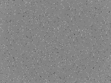 Ground glue 3d model