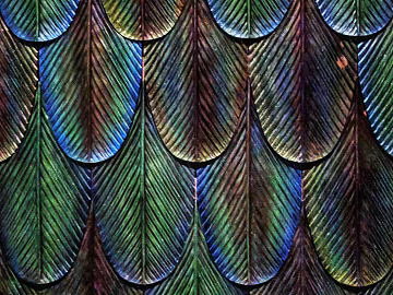 Feather Brick texture (ID:ffabg43162)