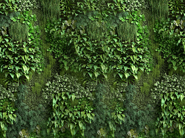 Plant Wall texture (ID:ffagg07157)