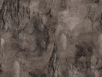 bark texture (ID:ffach331086)