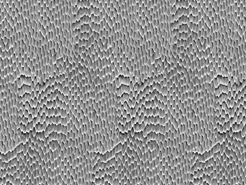Black and White Bump texture (ID:ffajg25416)