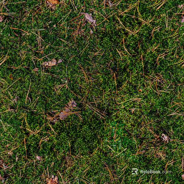 Garden courtyard moss lawn turf grassland natural ground texture
