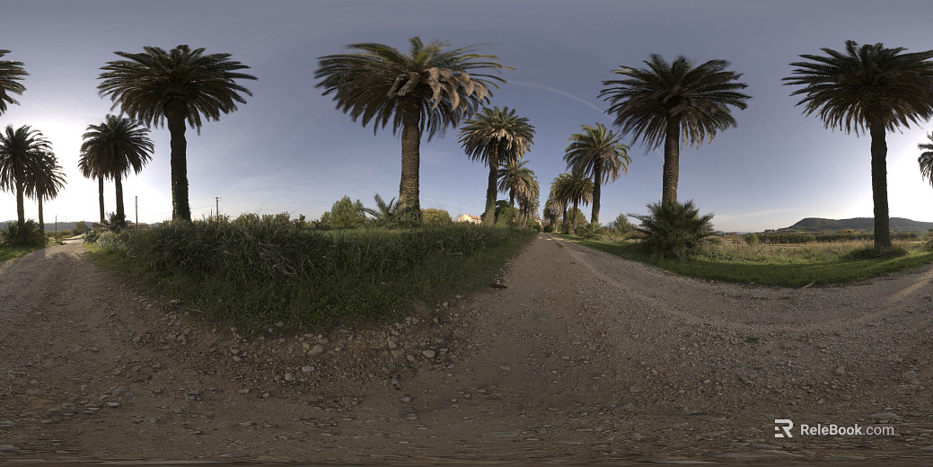 Outdoor Field Road Daytime HDR texture