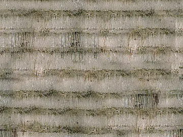 bark texture (ID:ffaff8818)