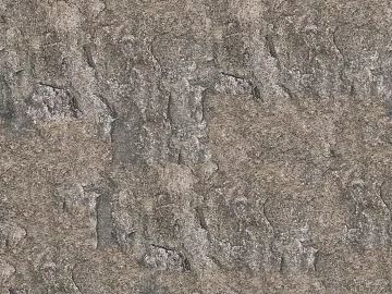 Rock 3d model