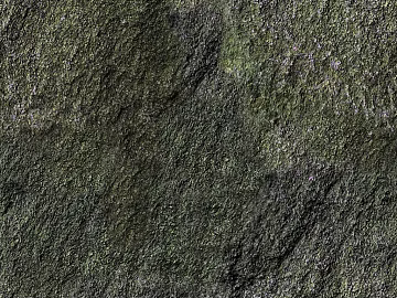 bark texture (ID:ffabg79785)