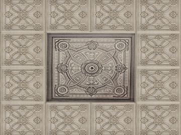 smallpox texture (ID:ffacg52460)