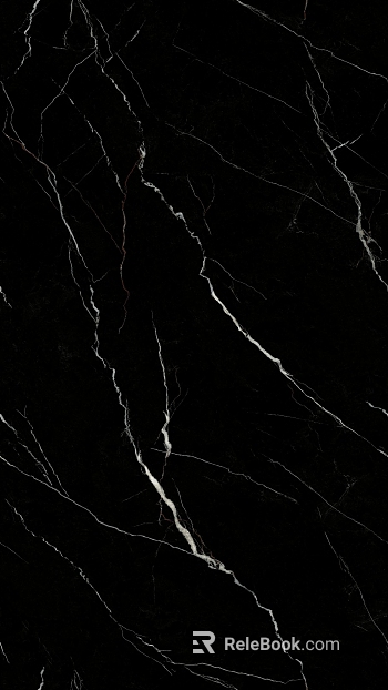 Arsa Black Marble Rock Slab texture